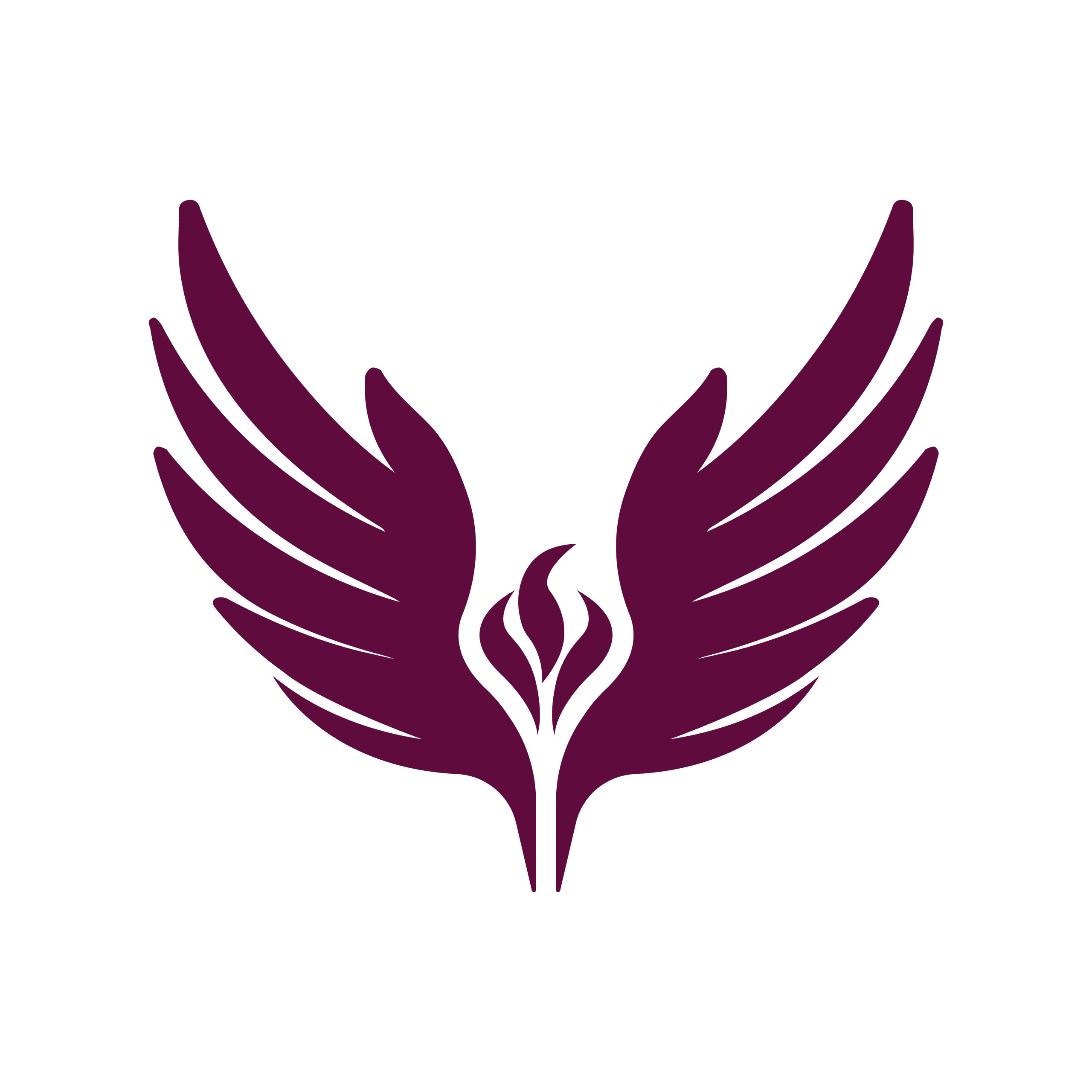 Twelvifebrina.com
